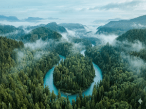 Aerial view of turquoise river through misty green forest
